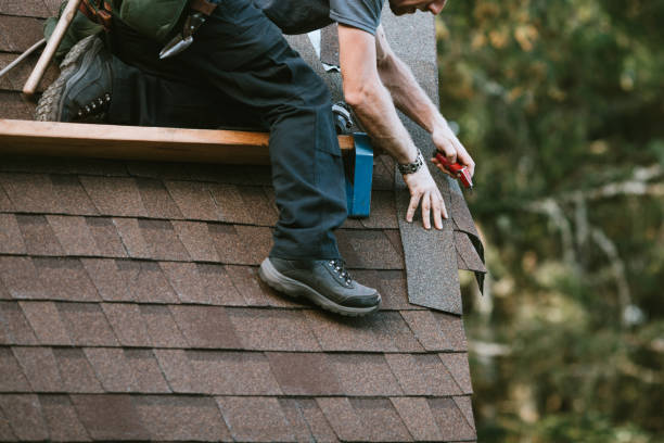 Best Roof Repair Services  in Dousman, WI